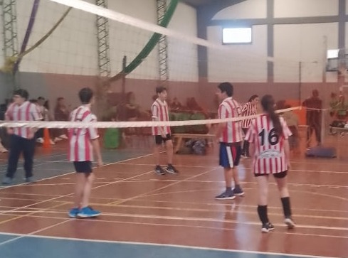 voley